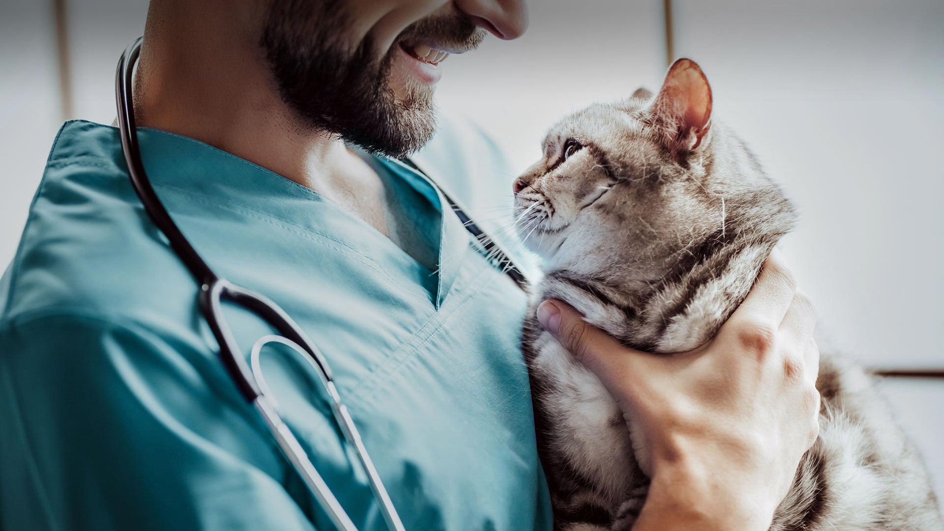 Yıkıkkemer Veteriner